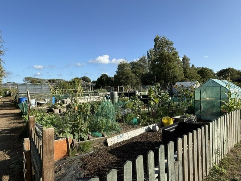Vale_Allotments_image1.jpg