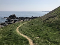 A green grassy coastal path winding alongside a hillside, leading towards rocky outcrops and the sea under a bright, clear sky.